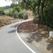 Kas Pathar Sceneries of Roads9