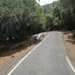 Kas Pathar Sceneries of Roads9