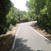 Kas Pathar Sceneries of Roads9