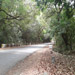 Kas Pathar Sceneries of Roads7