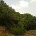 Kas Pathar Sceneries of Roads9