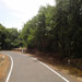 Kas Pathar Sceneries of Roads9