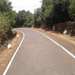 Kas Pathar Sceneries of Roads9