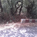Kas Pathar Sceneries of Roads5