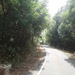 Kas Pathar Sceneries of Roads3