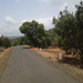 Kas Pathar Sceneries of Roads9