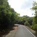 Kas Pathar Sceneries of Roads9