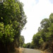 Kas Pathar Sceneries of Roads9